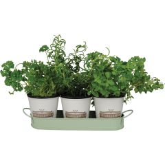 Herb Pot - Set of 3